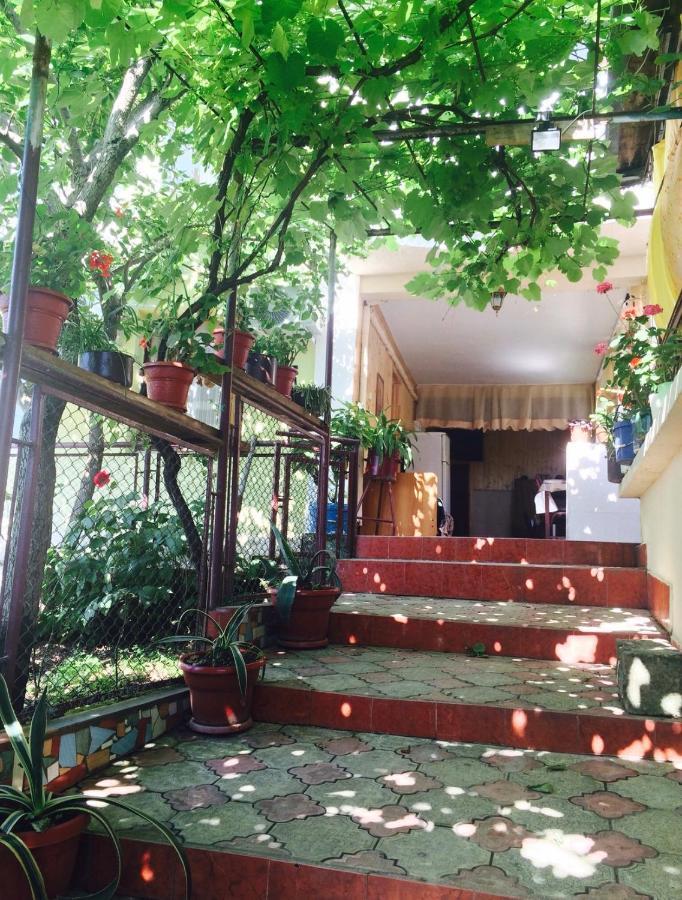 Гостевой Дом «Лиза» Hotel Gagra Ngoại thất bức ảnh
